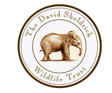 David_Sheldrick_Wildlife (1)
